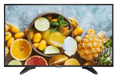 MONITOR 43" 1080P VESA DS-D5043QE